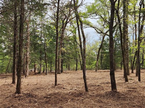 Lot 465 County Road 4710, LaRue, TX, 75770 | Card Image
