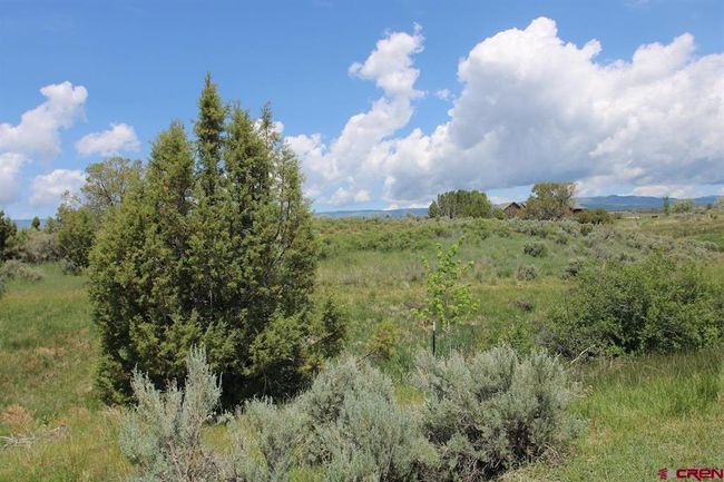 14433 2600 Rd, Home with 0 bedrooms, 0 bathrooms and null parking in Cedaredge CO | Image 39