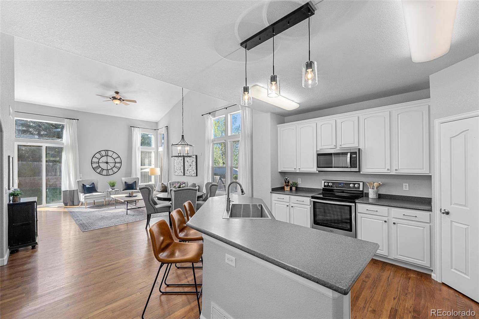 Residential in Castle Rock 3