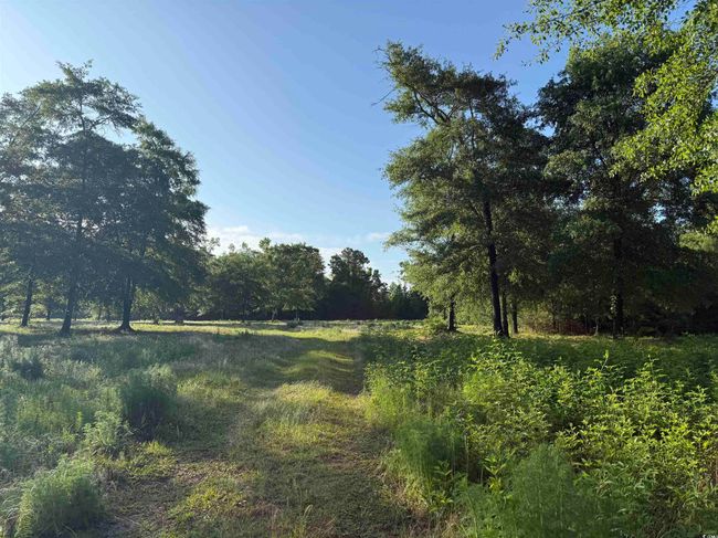 10 Cohen Dr., Home with 0 bedrooms, 0 bathrooms and null parking in Hemingway SC | Image 7