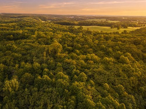 0 S Bear Creek Rd, Dickson, TN, 37055 | Card Image
