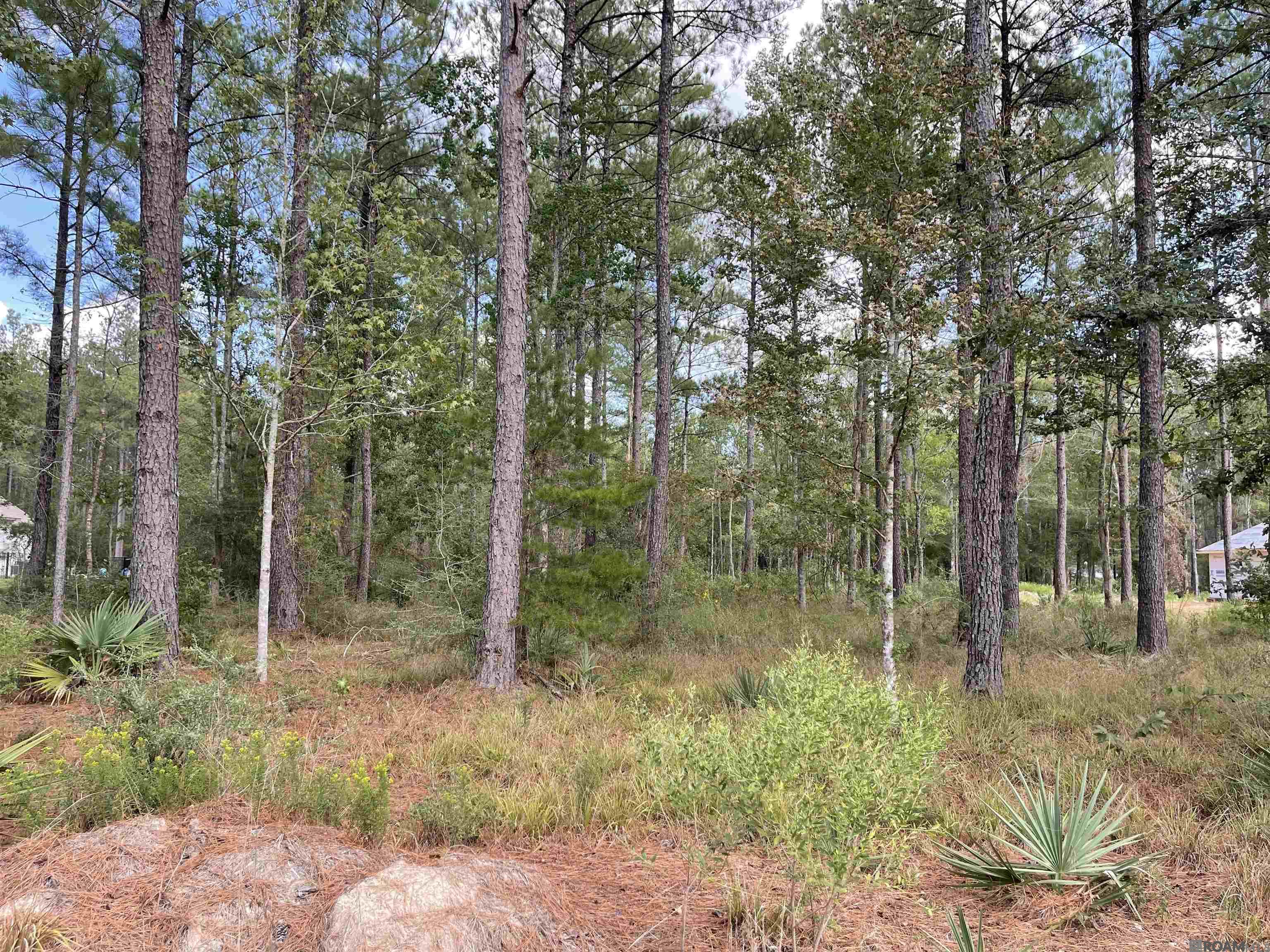 Land in Livingston 2