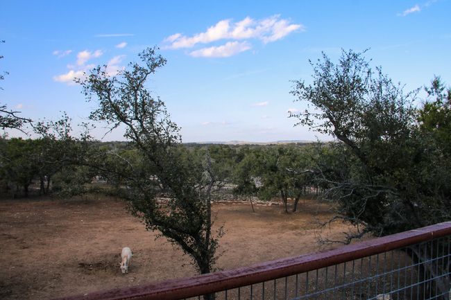 The view from the guest apartment patio. | Image 22