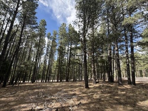 Lot 12 Broadmoor Way, Angel Fire, NM, 87710-8122 | Card Image