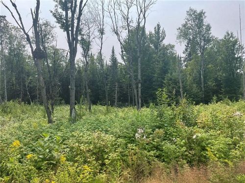 6+/- Acres On Old 13 Road, Eisenstein, WI, 54514 | Card Image