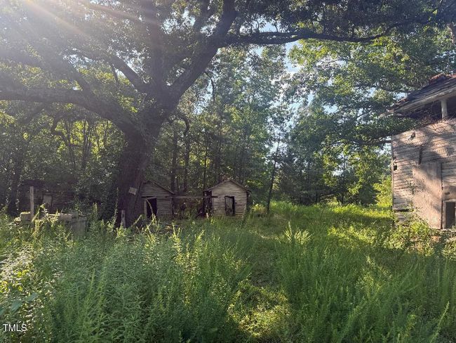view from road, left side of uninhabitab | Image 10