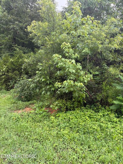 349 Carolyn Ln, Decatur, TN, 37322-8259 | Card Image