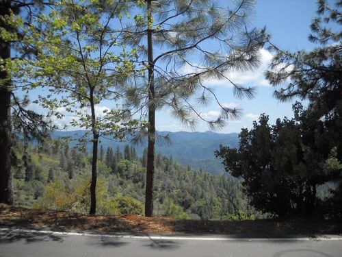 1202 Heather Dr, Murphys, CA, 95247-9687 | Card Image