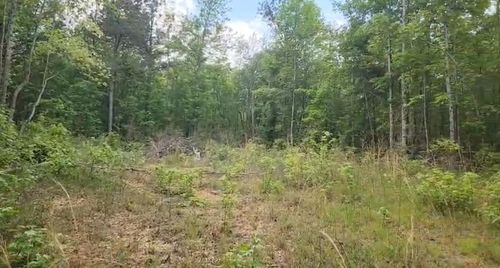 0 Fuller Rd, Phil Campbell, AL, 35581 | Card Image