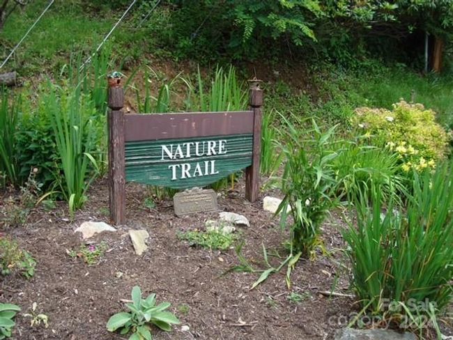 Hiking Trails Throughout | Image 22