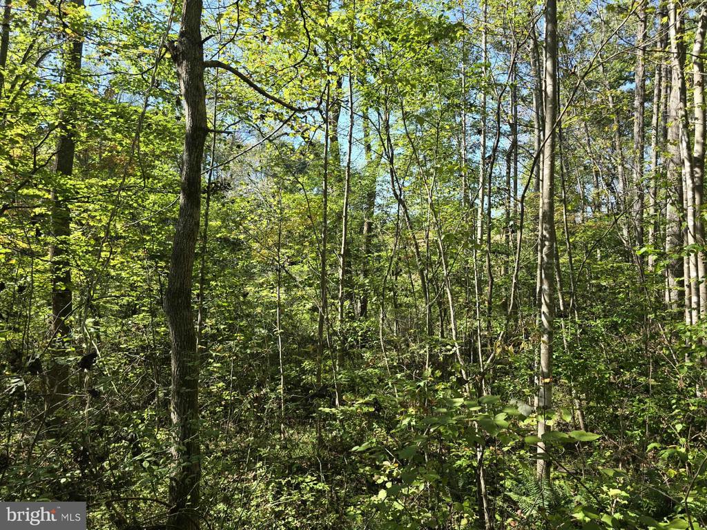 Land in BANCO 2