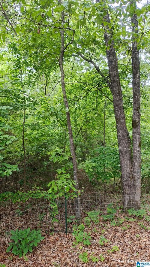 1-350 Paradise Acres, WEST BLOCTON, AL, 35184 | Card Image