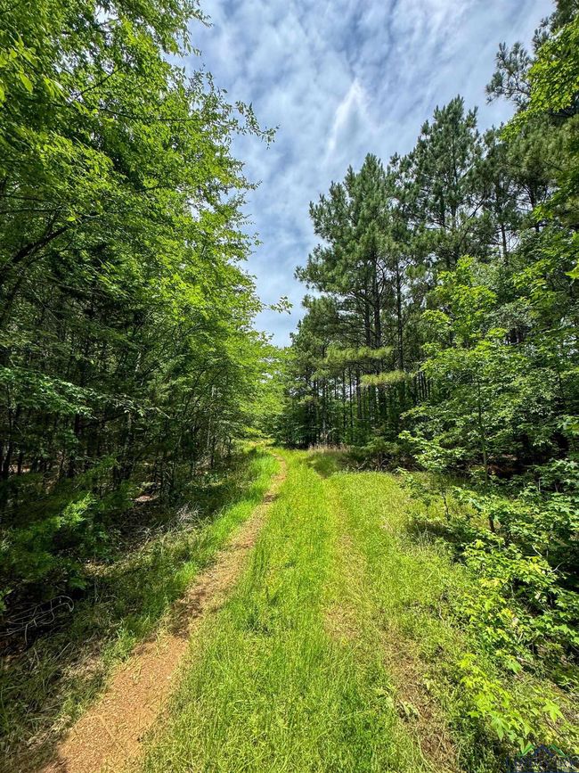 0000 Fm 3421, Home with 0 bedrooms, 0 bathrooms and null parking in Lone Star TX | Image 19