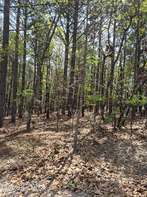 4 Brassie Ln, Jackson Springs, NC, 27281-9739 | Card Image