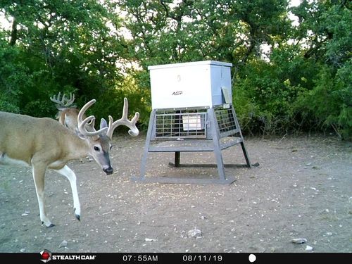 1688 Highway 573, Comanche, TX, 76442 | Card Image
