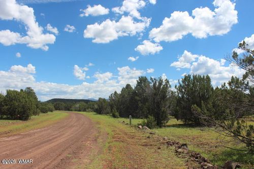 29 County Road 3199, Vernon, AZ, 85940 | Card Image