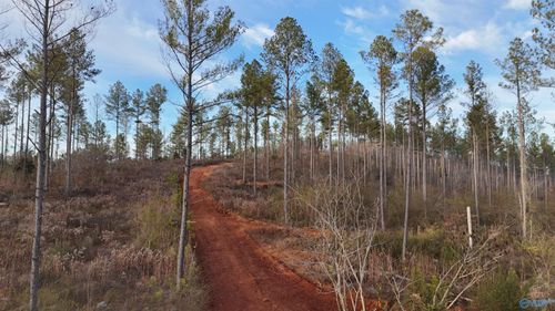 005 County Road 175, Piedmont, AL, 36272-4135 | Card Image