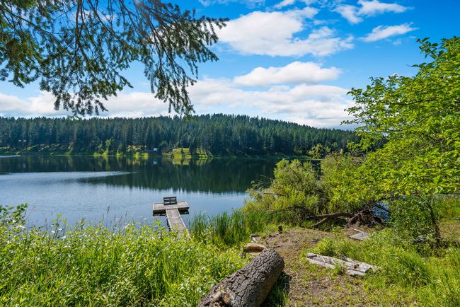 Water view with a heavily wooded area and a floating dock | Image 6