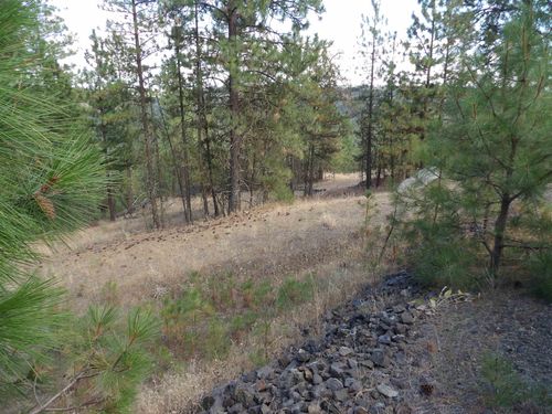 31905 Ruffed Grouse Dr E, Davenport, WA, 99122-5283 | Card Image