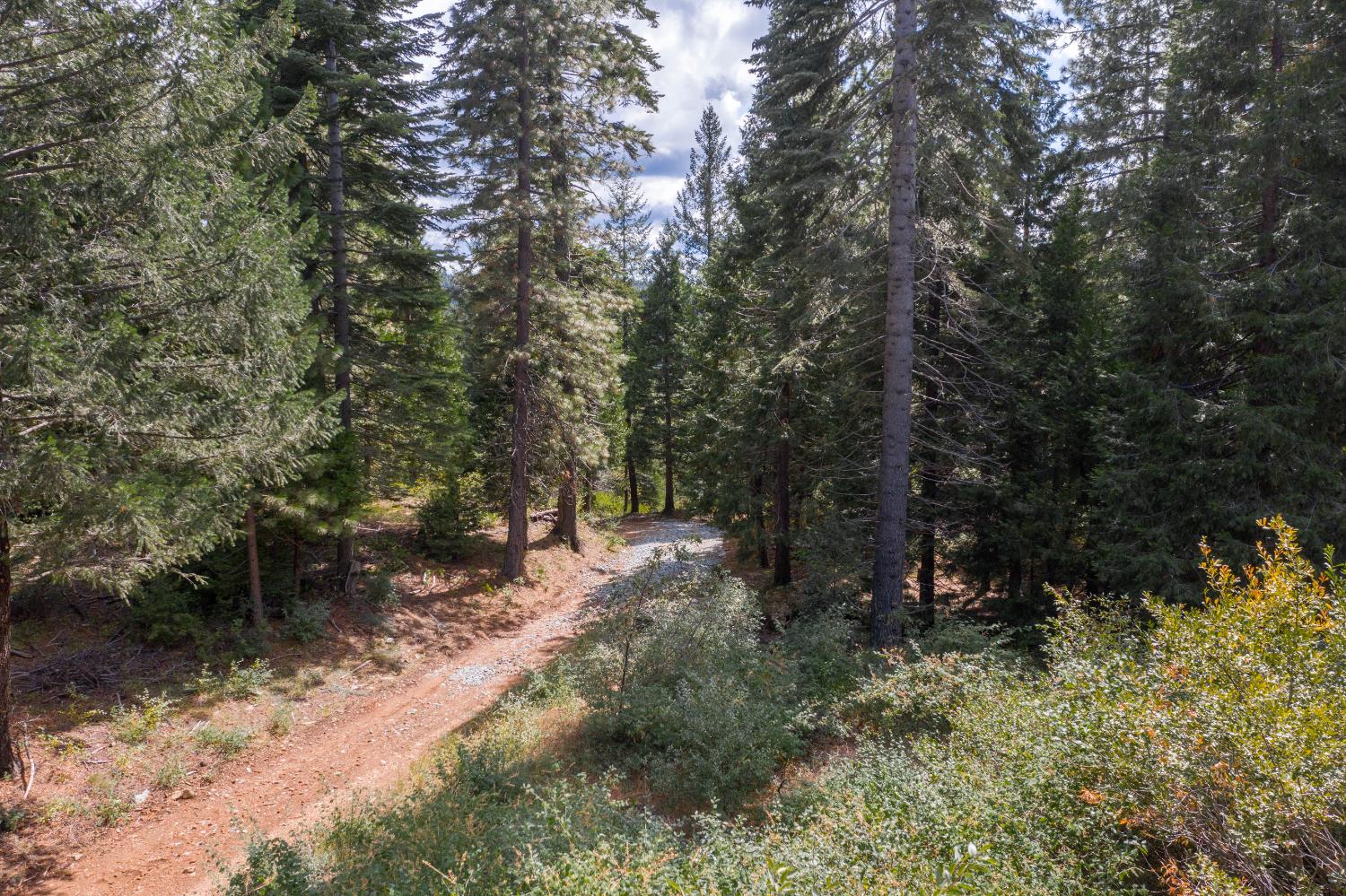 Land in Nevada City 4