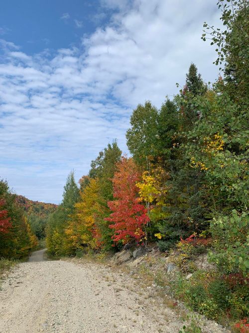 tbd Plumbago Mountain, Newry, ME, 04261 | Card Image