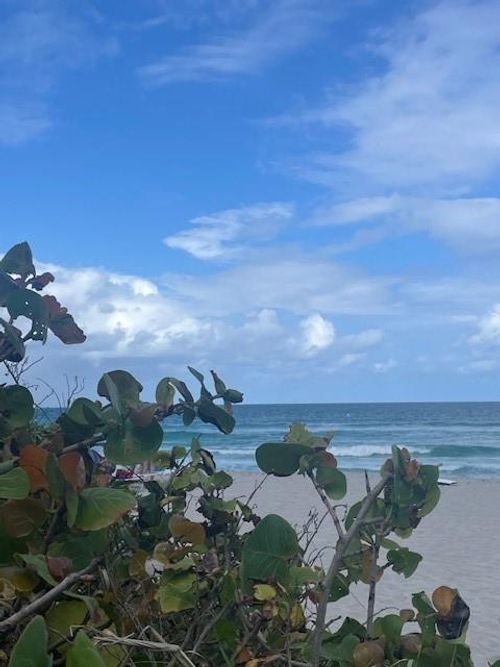 apt-505-2080 S Ocean Dr, Hallandale Beach, FL, 33009-6679 | Card Image