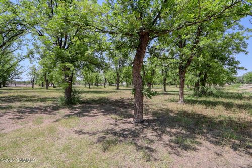 3000 Calle De Guadalupe, Mesilla, NM, 88046 | Card Image