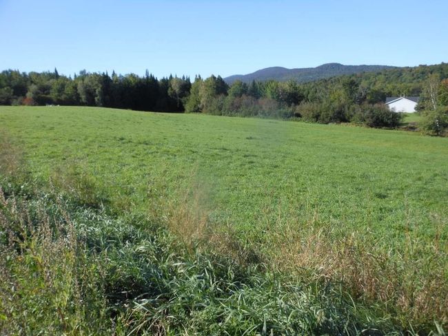 Lot 5B Vt Route 12, Home with 0 bedrooms, 0 bathrooms and null parking in Lake Elmore VT | Image 4