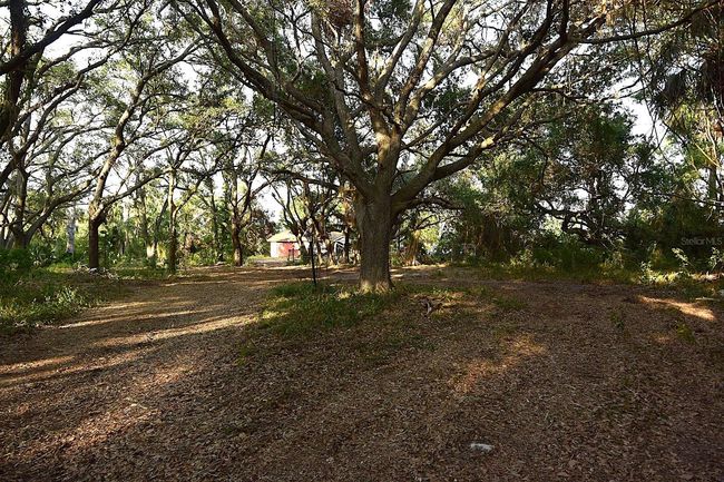 7610 Anna Ave, Home with 0 bedrooms, 0 bathrooms and null parking in GIBSONTON FL | Image 4