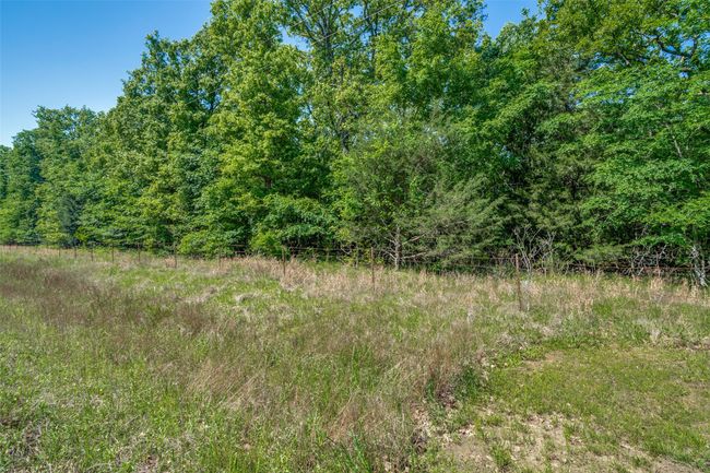 911 Rs County Road 1399, Home with 0 bedrooms, 0 bathrooms and null parking in Point TX | Image 9