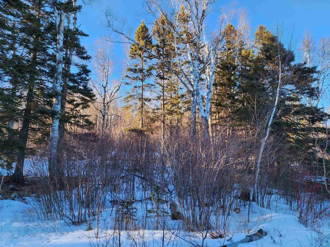 XX-2 Hoaglund Dr, Home with 0 bedrooms, 0 bathrooms and null parking in Tofte MN | Image 4