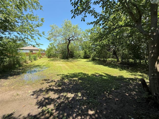 View of backyard | Image 13