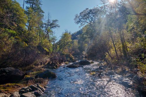 15747 Frenchtown Rd, Brownsville, CA, 95919-9717 | Card Image