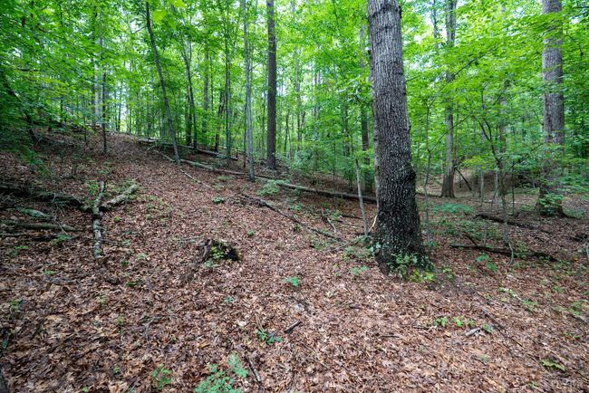 0 Allens Creek Rd, Home with 0 bedrooms, 0 bathrooms and null parking in GLADSTONE VA | Image 28