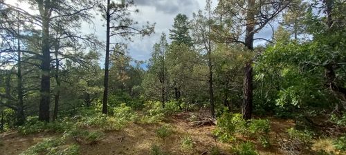 0 1781, Chama, NM, 87520 | Card Image