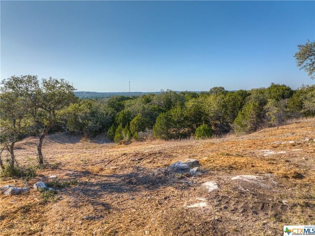 0 Zinnia/Star Grass, Home with 0 bedrooms, 0 bathrooms and null parking in Spring Branch TX | Image 24