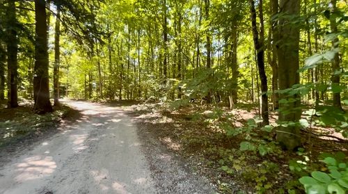 00 Langs Ln, Interlochen, MI, 49643 | Card Image