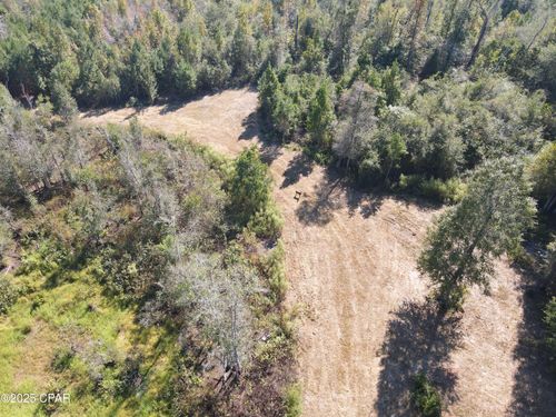 0 Brushey Pond Rd, Grand Ridge, FL, 32442 | Card Image