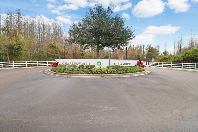 30211 Goodwick Way, Townhouse with 3 bedrooms, 3 bathrooms and null parking in WESLEY CHAPEL FL | Image 28