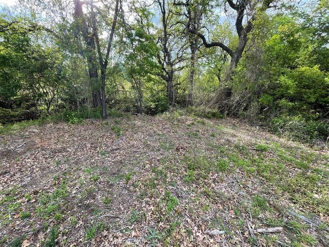 1037 Gonzollas Rd, Home with 0 bedrooms, 0 bathrooms and null parking in Springtown TX | Image 19