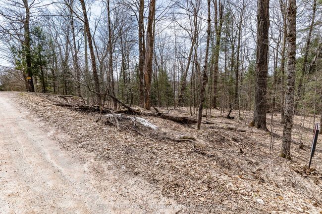 0 Bird Lake Rd, Home with 0 bedrooms, 0 bathrooms and null parking in Bracebridge ON | Image 28