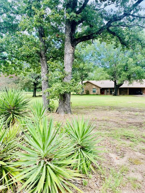 3291 Farm Road 410 S, Detroit, TX, 75436-4909 | Card Image