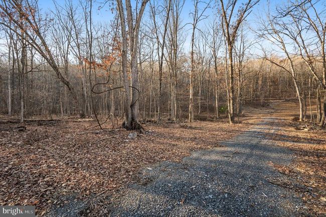 LOT 4 Back Creek Rd, Home with 0 bedrooms, 0 bathrooms and null parking in GORE VA | Image 15