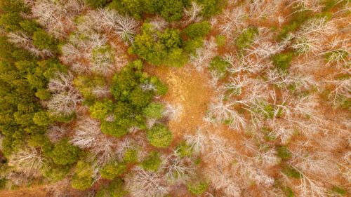 000 Walnut St, Thayer, MO, 65791 | Card Image