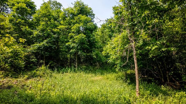 Cabin on 13 acres020 | Image 14