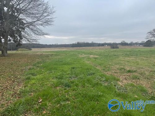 TRACT 8 N Jefferson St, Elkmont, AL, 35620 | Card Image