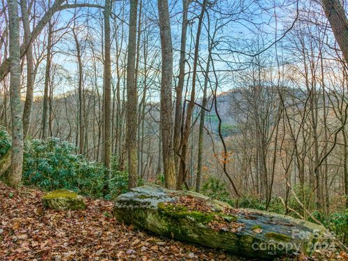 370 Cabin Creek Trail, Mars Hill, NC, 28754 | Card Image