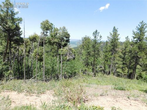 13670 Spruce Creek Cir, Larkspur, CO, 80118-6602 | Card Image