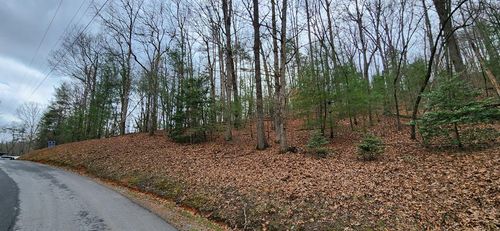 Lot 13 Mangums Trail, Blue Ridge, GA, 30513 | Card Image
