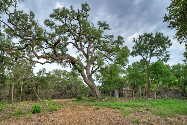 11916 Jim Bridger Dr, Home with 0 bedrooms, 0 bathrooms and null parking in Austin TX | Image 35